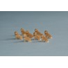 ANIMAL MINIATURE : CHIEN